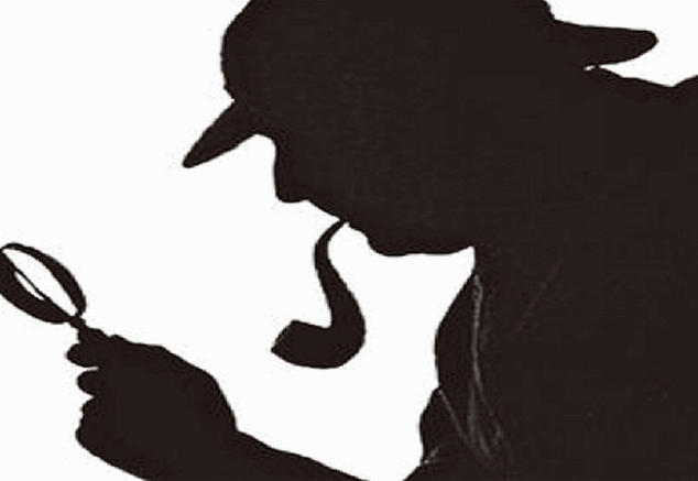 武汉调查公司是如何开展调查工作的?